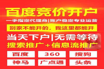竞价广告的创意与执行：一则经典案例剖析